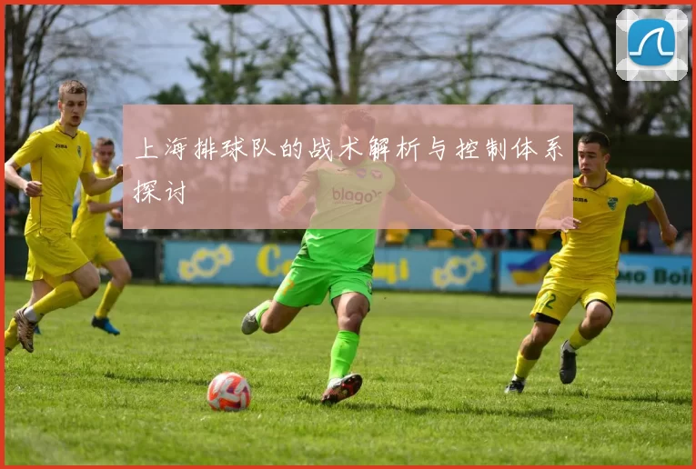 上海排球队的战术解析与控制体系探讨