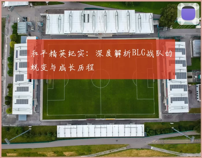 和平精英纪实：深度解析BLG战队的蜕变与成长历程