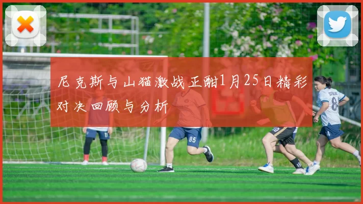 尼克斯与山猫激战正酣1月25日精彩对决回顾与分析