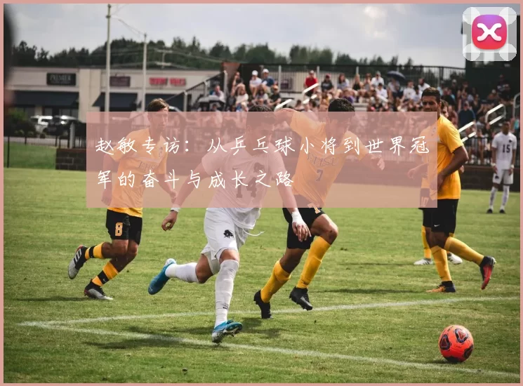 赵敏专访：从乒乓球小将到世界冠军的奋斗与成长之路