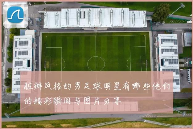 脏辫风格的男足球明星有哪些他们的精彩瞬间与图片分享