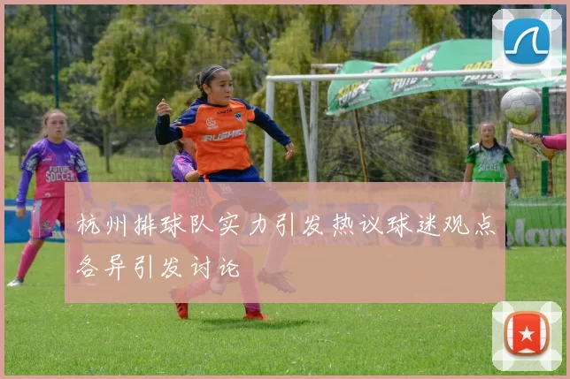 杭州排球队实力引发热议球迷观点各异引发讨论