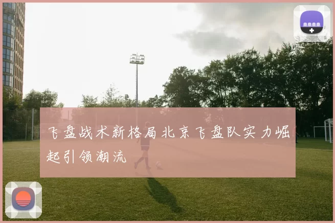 飞盘战术新格局北京飞盘队实力崛起引领潮流