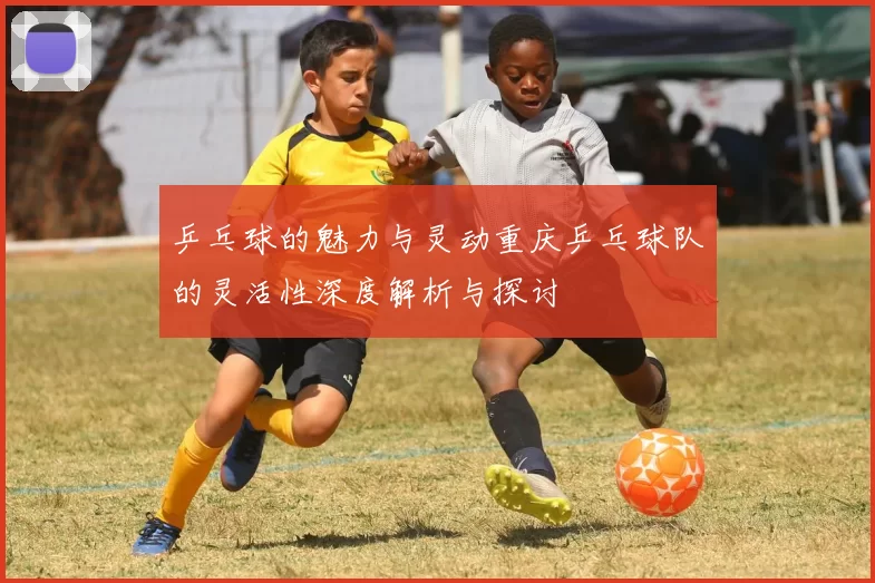 乒乓球的魅力与灵动重庆乒乓球队的灵活性深度解析与探讨