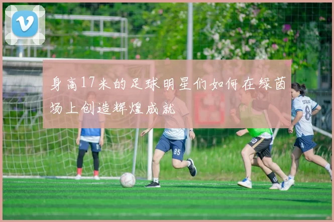 身高17米的足球明星们如何在绿茵场上创造辉煌成就