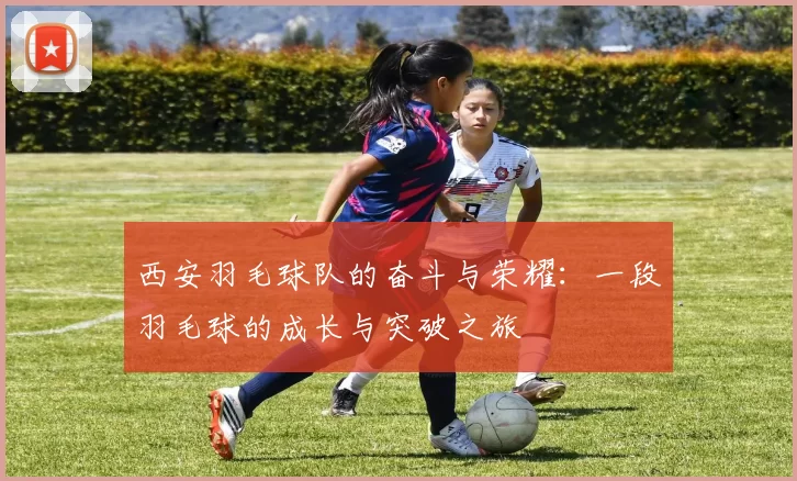 西安羽毛球队的奋斗与荣耀：一段羽毛球的成长与突破之旅