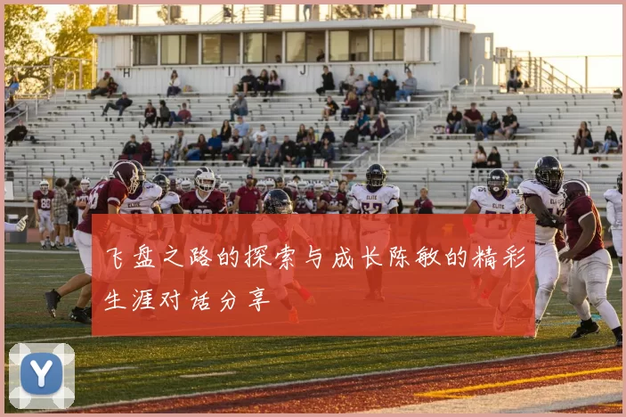 飞盘之路的探索与成长陈敏的精彩生涯对话分享