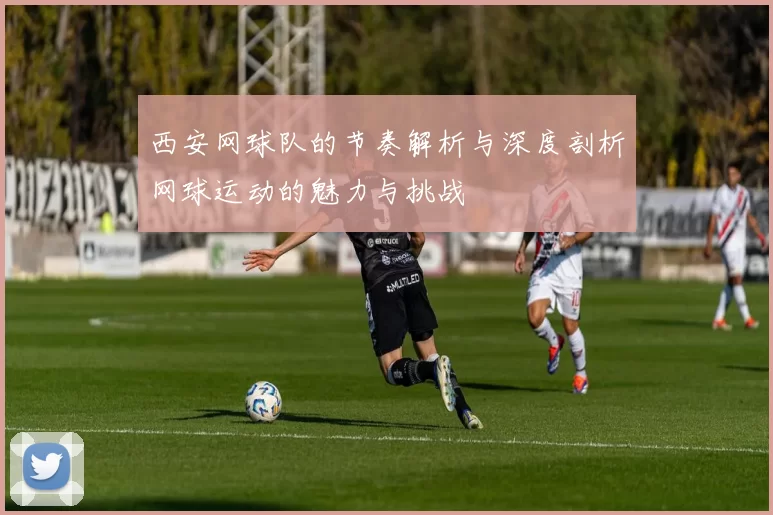 西安网球队的节奏解析与深度剖析网球运动的魅力与挑战