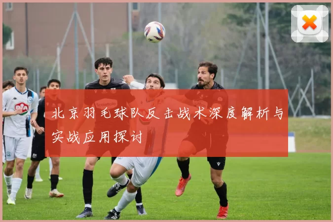 北京羽毛球队反击战术深度解析与实战应用探讨