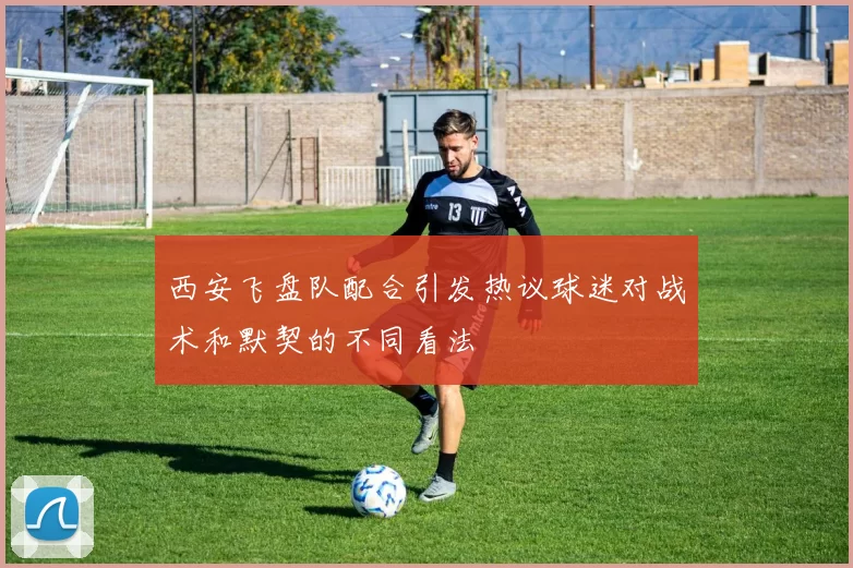 西安飞盘队配合引发热议球迷对战术和默契的不同看法