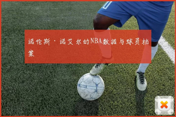 诺伦斯·诺艾尔的NBA数据与球员档案