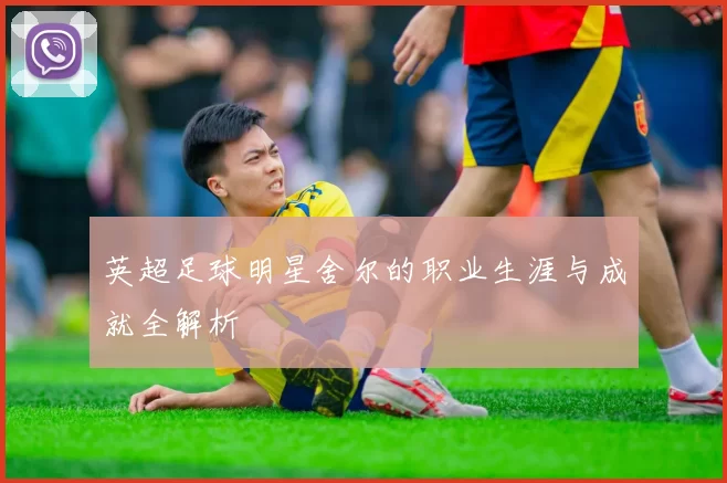 英超足球明星舍尔的职业生涯与成就全解析