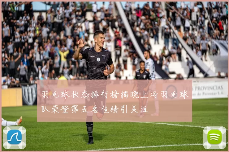 羽毛球状态排行榜揭晓上海羽毛球队荣登第五名佳绩引关注