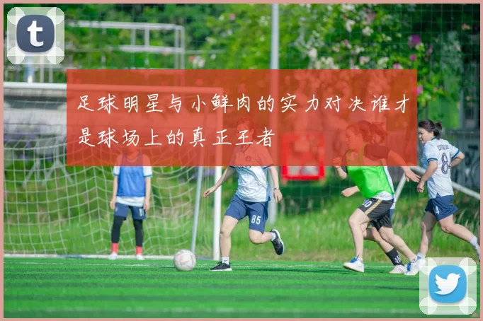 足球明星与小鲜肉的实力对决谁才是球场上的真正王者