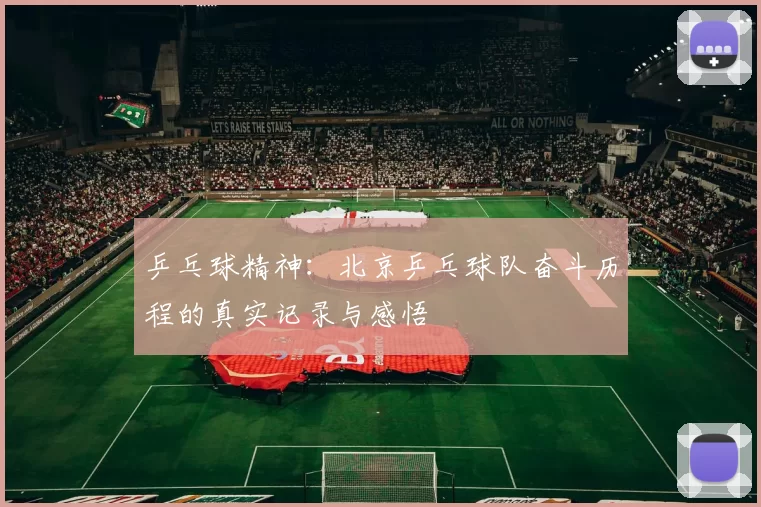 乒乓球精神：北京乒乓球队奋斗历程的真实记录与感悟