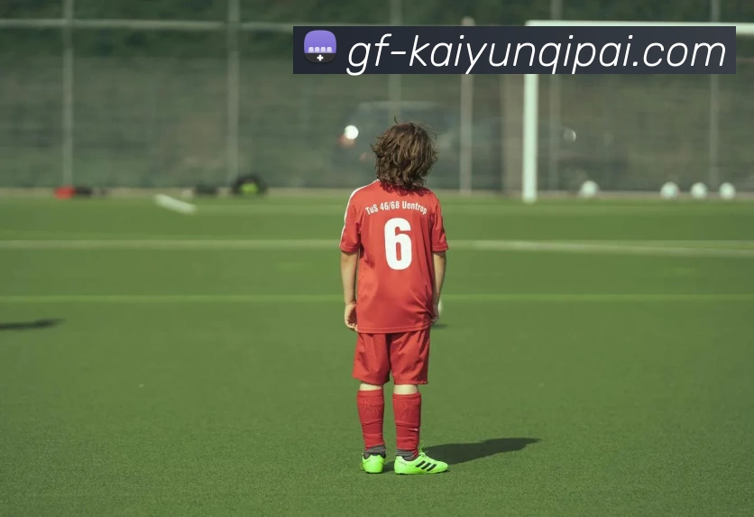 开云APP发展历程